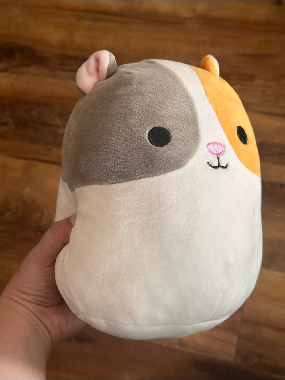 Claire’s kitty plushie